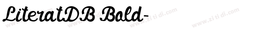 LiteratDB Bold字体转换 LiteratDB Bold字体转换